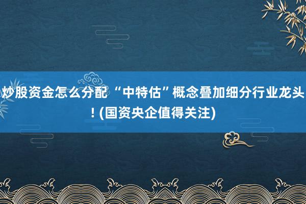 炒股资金怎么分配 “中特估”概念叠加细分行业龙头! (国资央企值得关注)