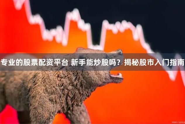 专业的股票配资平台 新手能炒股吗？揭秘股市入门指南