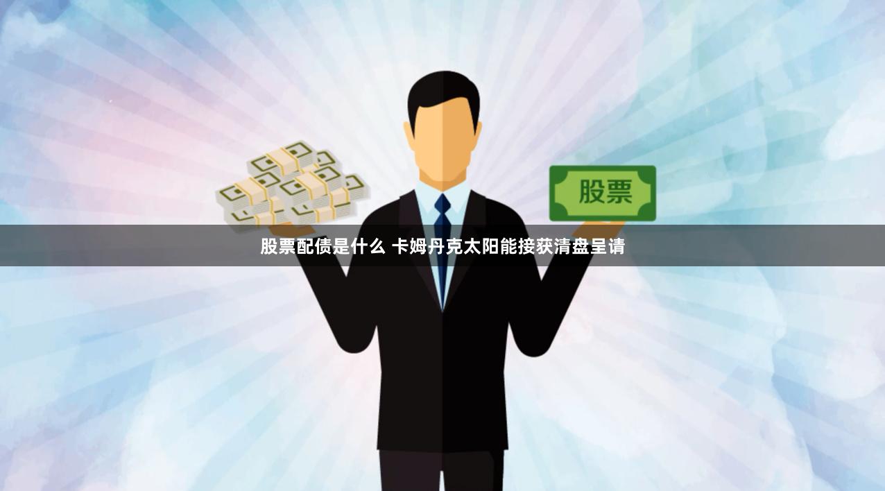 股票配债是什么 卡姆丹克太阳能接获清盘呈请