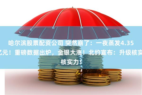 哈尔滨股票配资公司 突然崩了：一夜蒸发4.35万亿元！重磅数据出炉，金银大涨！北约宣布：升级核实力！