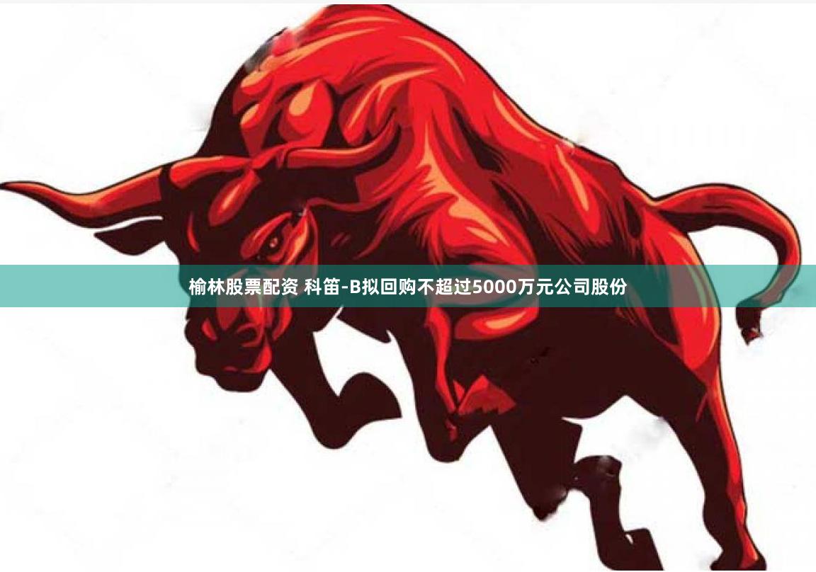 榆林股票配资 科笛-B拟回购不超过5000万元公司股份