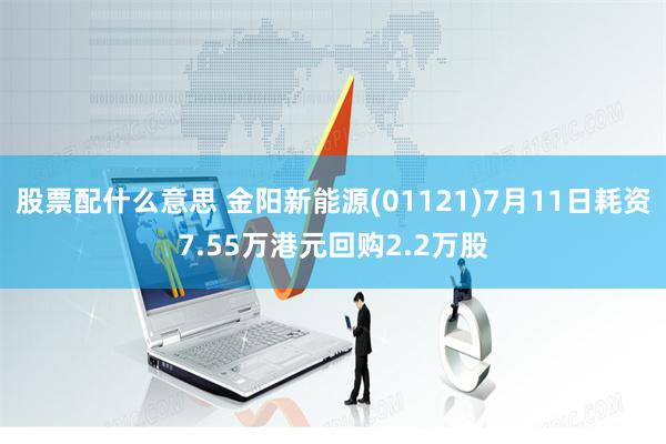 股票配什么意思 金阳新能源(01121)7月11日耗资7.55万港元回购2.2万股