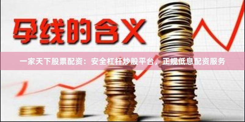 一家天下股票配资：安全杠杆炒股平台，正规低息配资服务